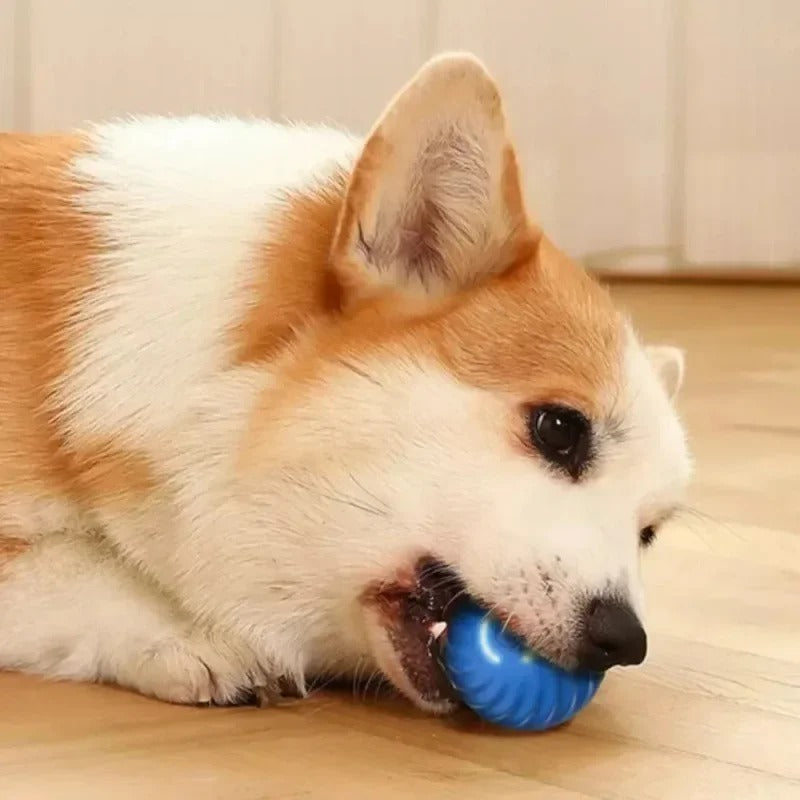 Automatic Moving Bounce Rolling Ball Dog Toy USB