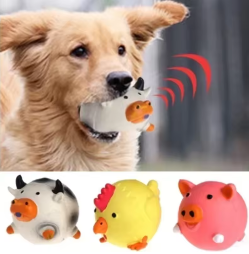 Pet dog vocal toy
