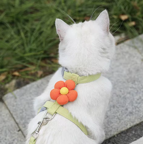 Adjustable Harness & Leash Set – Breathable Walking Strap for Cats & Small Dogs