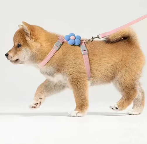 Adjustable Harness & Leash Set – Breathable Walking Strap for Cats & Small Dogs