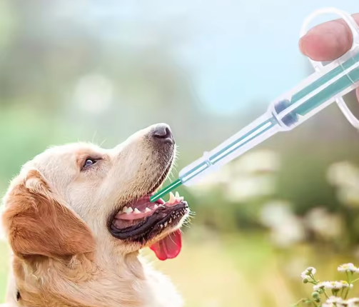 Pet Pill Feeder – Soft-Tip Syringe Dispenser for Cats, Dogs & Small Animals