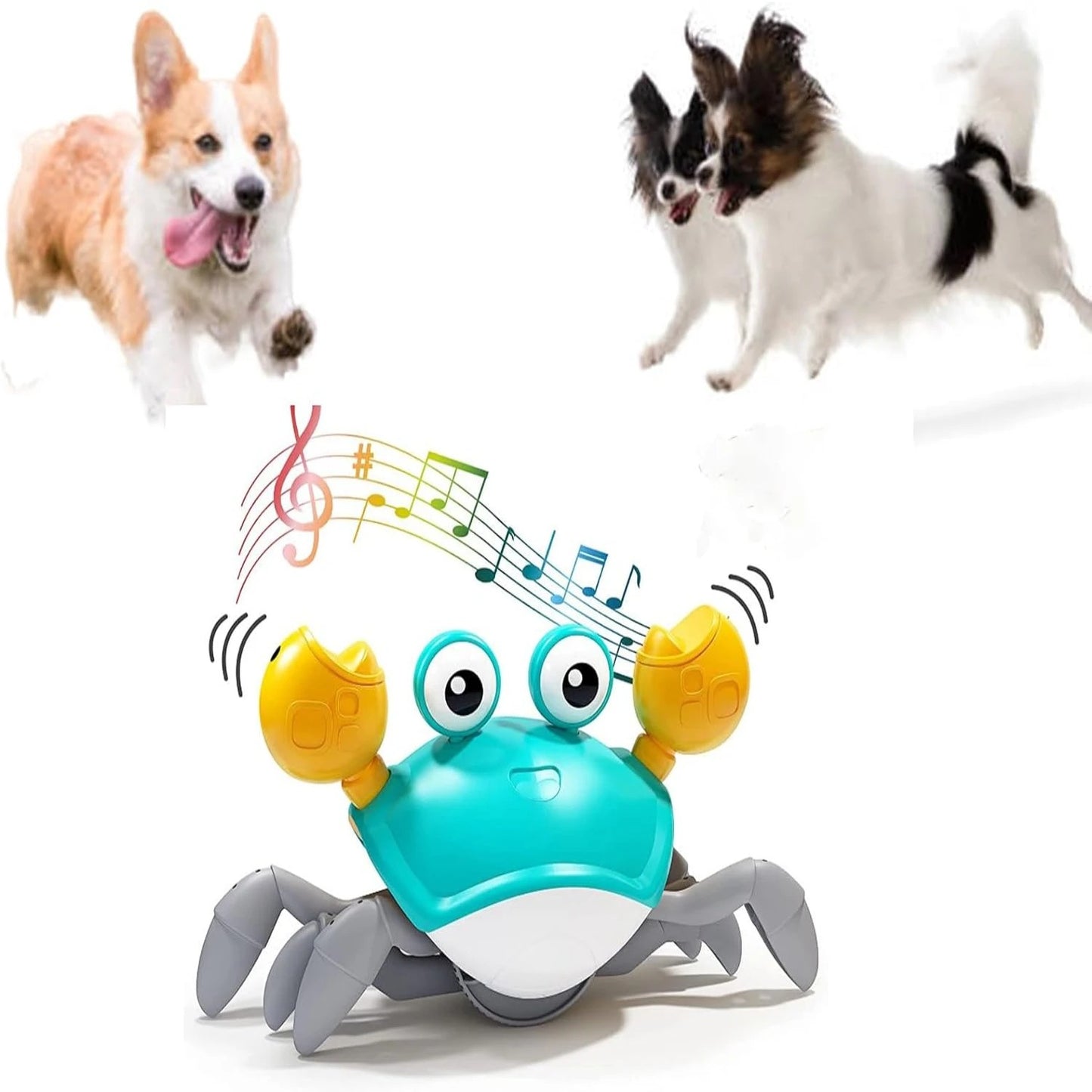 Pet Toy – Dancing Crab with Music & Motion for Dogs and Cats