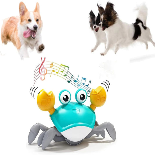 Pet Toy – Dancing Crab with Music & Motion for Dogs and Cats