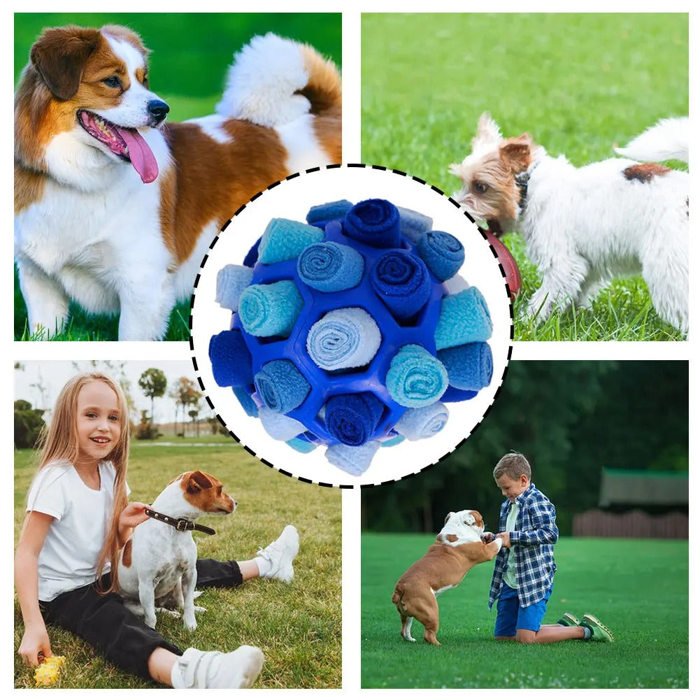Sniffing Ball – Interactive Shaking & Chew Toy for Dogs with Tooth Cleaning and Training Benefits