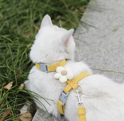 Adjustable Harness & Leash Set – Breathable Walking Strap for Cats & Small Dogs