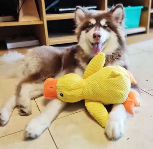 Stomping Duck Plush Toy – Bite-Resistant, Teeth-Cleaning Toy