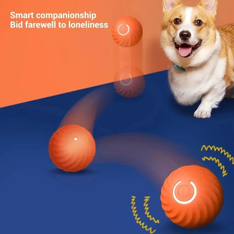 Automatic Moving Bounce Rolling Ball Dog Toy USB