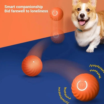 Automatic Moving Bounce Rolling Ball Dog Toy USB